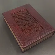 Тайные игры спецслужб — историческая книга — фотография 5